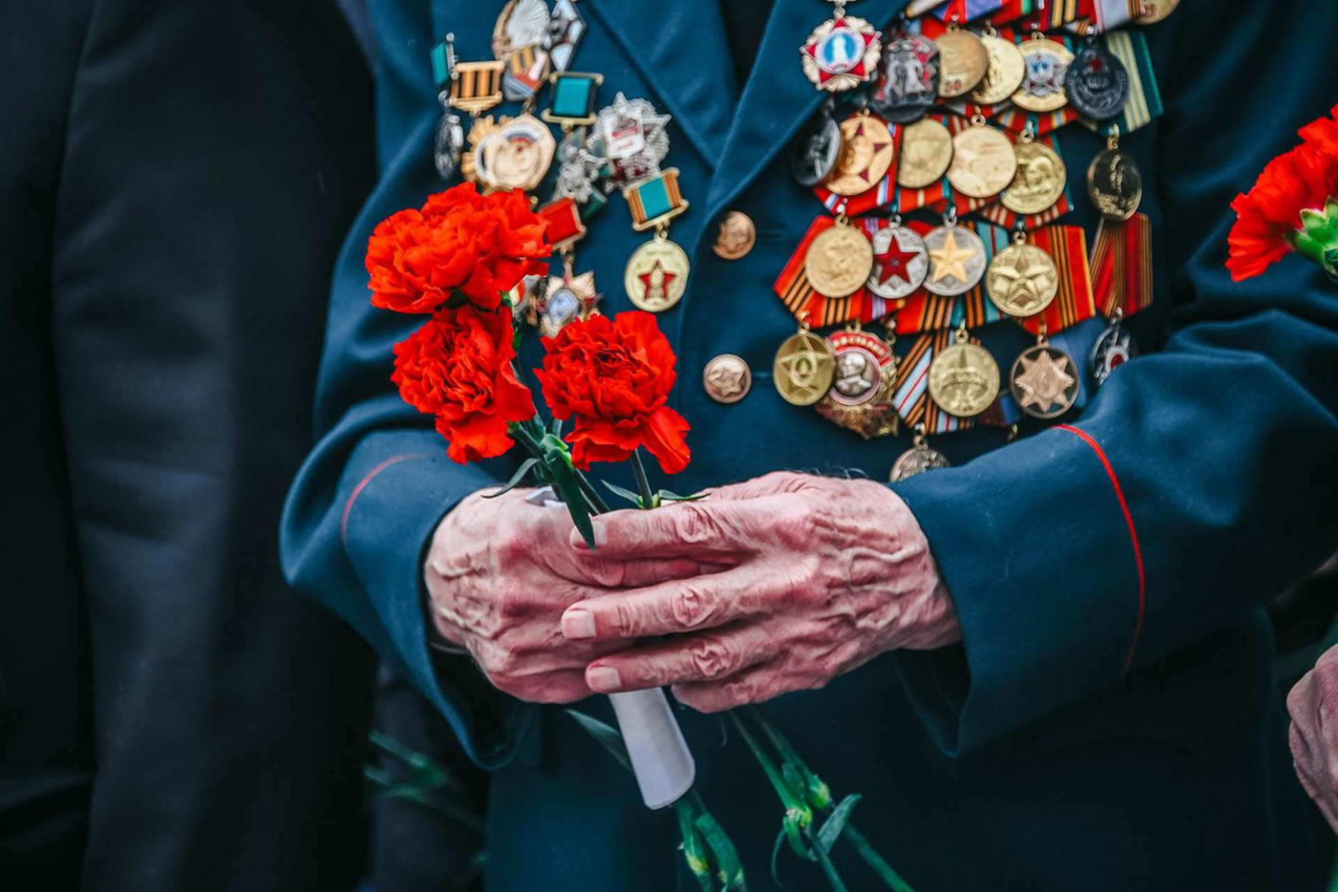 вовбиг.jpg