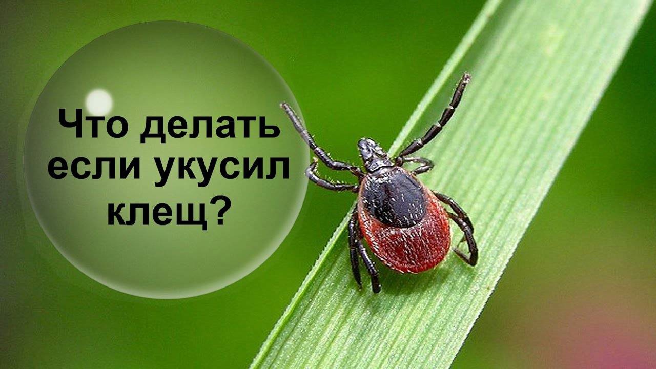 ic_C-ebRlE4.jpg